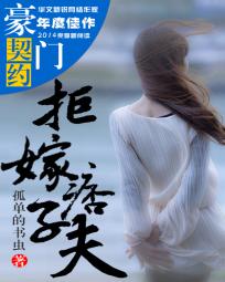 豪门契约:拒嫁痞子夫