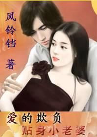 爱的欺负:贴身小老婆